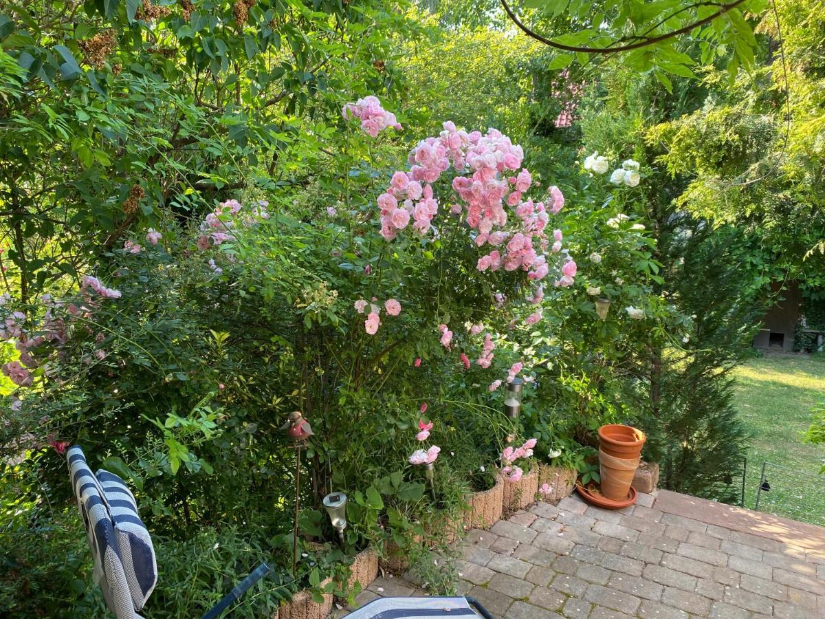 Ferienwohnung Mit Schoener Terrasse. Ellerstadt المظهر الخارجي الصورة