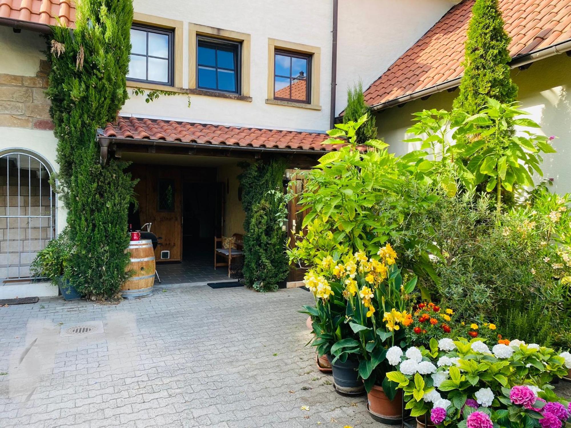 Ferienwohnung Mit Schoener Terrasse. Ellerstadt المظهر الخارجي الصورة